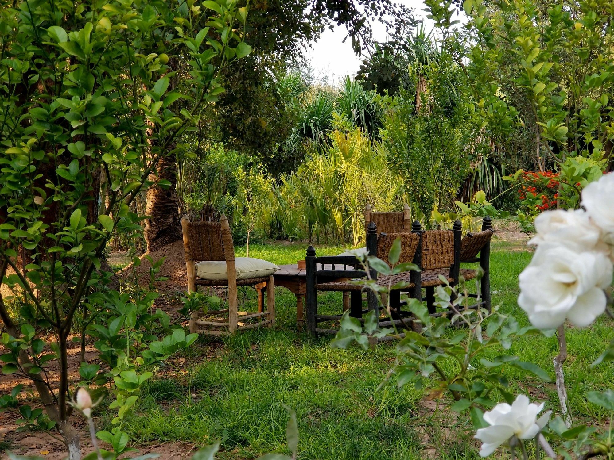 מרקש All Green House מראה חיצוני תמונה