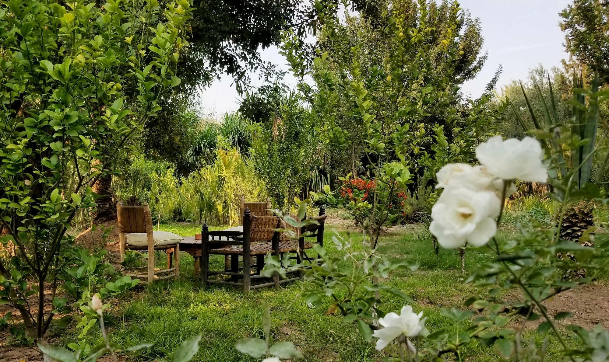 מרקש All Green House מראה חיצוני תמונה