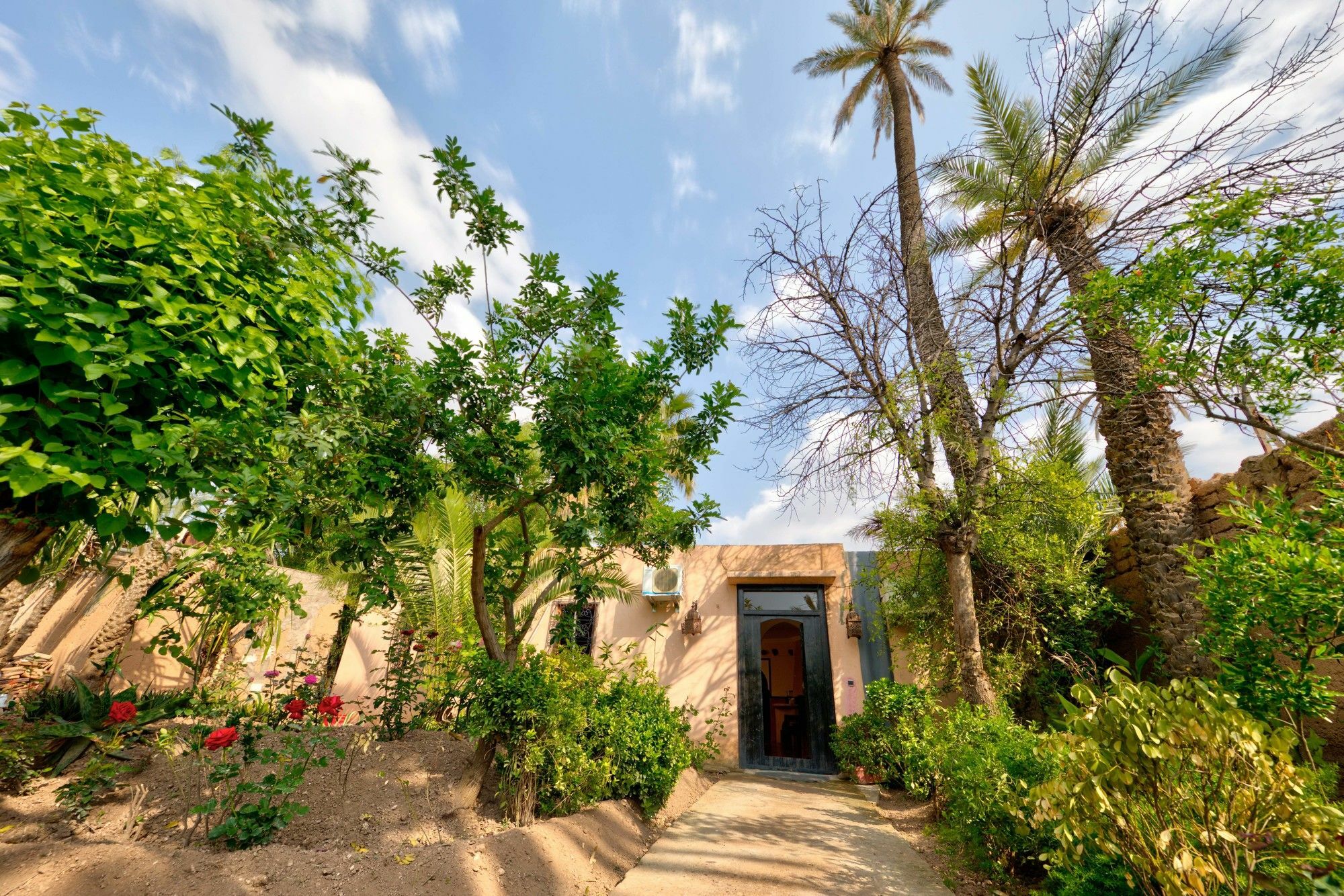 מרקש All Green House מראה חיצוני תמונה